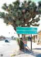 A woman leaning against a street sign in front of a joshua tree.